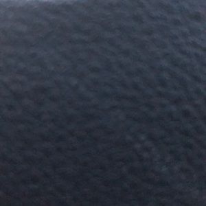 Meet your Posher, Phoebe